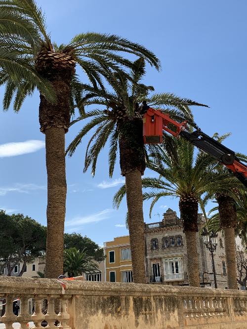 Ajuntament de Ciutadella de Menorca