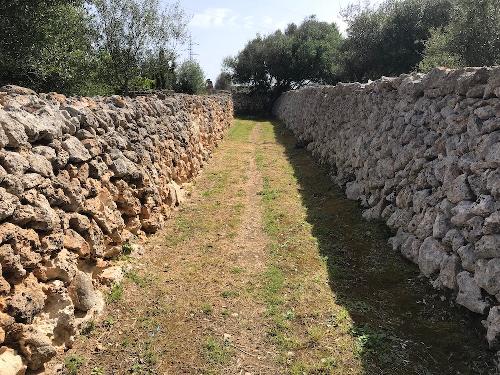Ajuntament de Ciutadella de Menorca