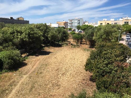 Ajuntament de Ciutadella de Menorca