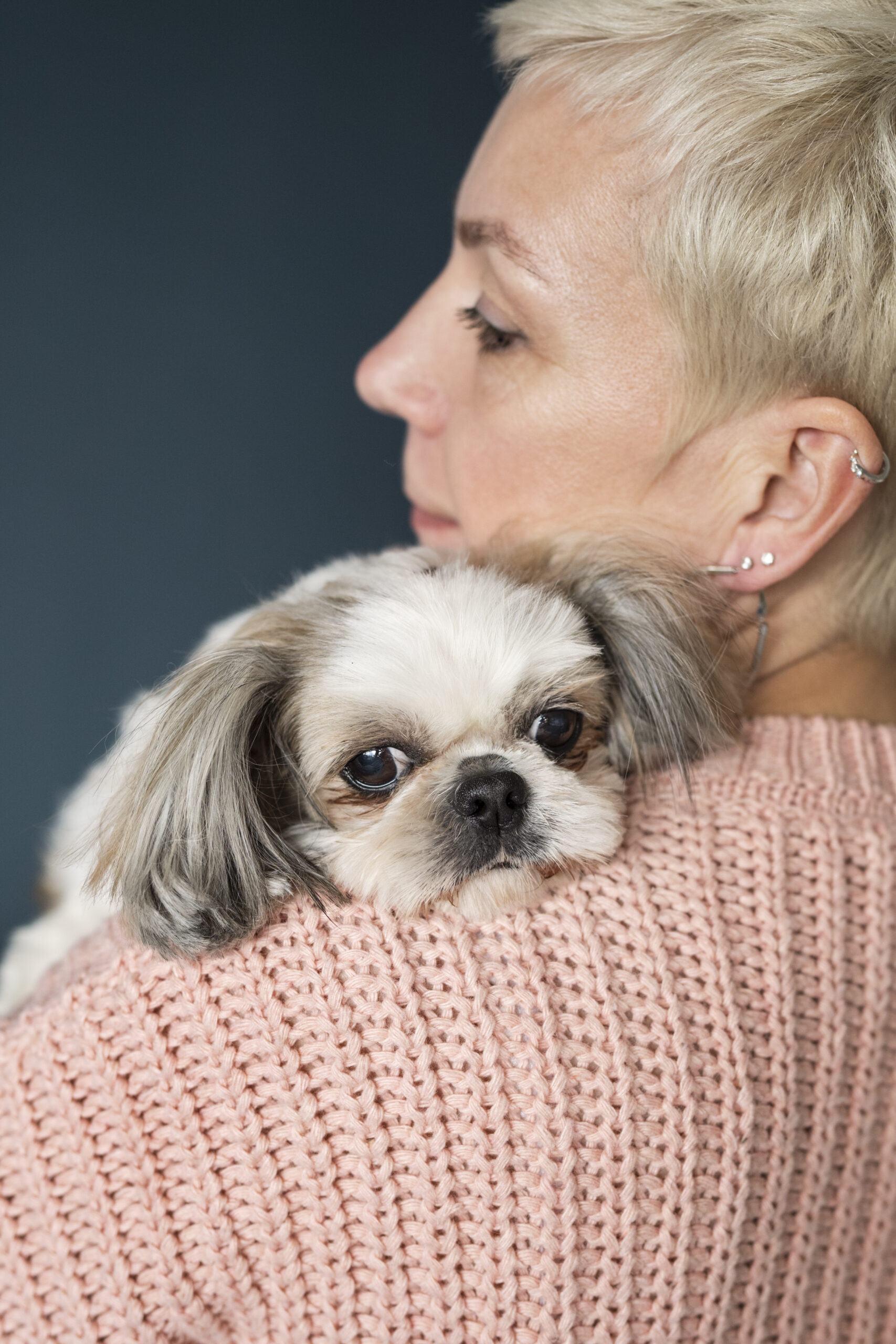 Cornellà se suma al proyecto VIOPET, para acoger a animales de mujeres víctimas de violencia machista
