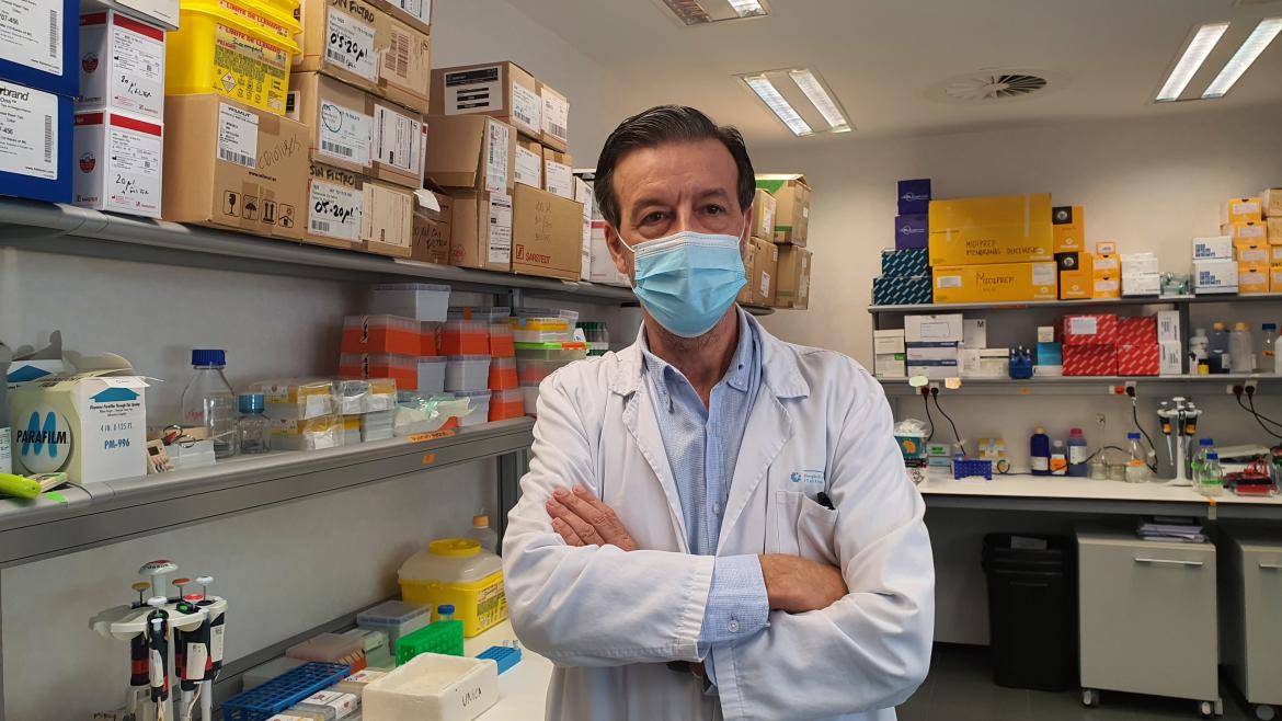 El Hospital 12 de Octubre y el Instituto de Investigación Josep Carreras crean una terapia basada en "células puñal", contra un tipo de leucemia muy difícil de tratar