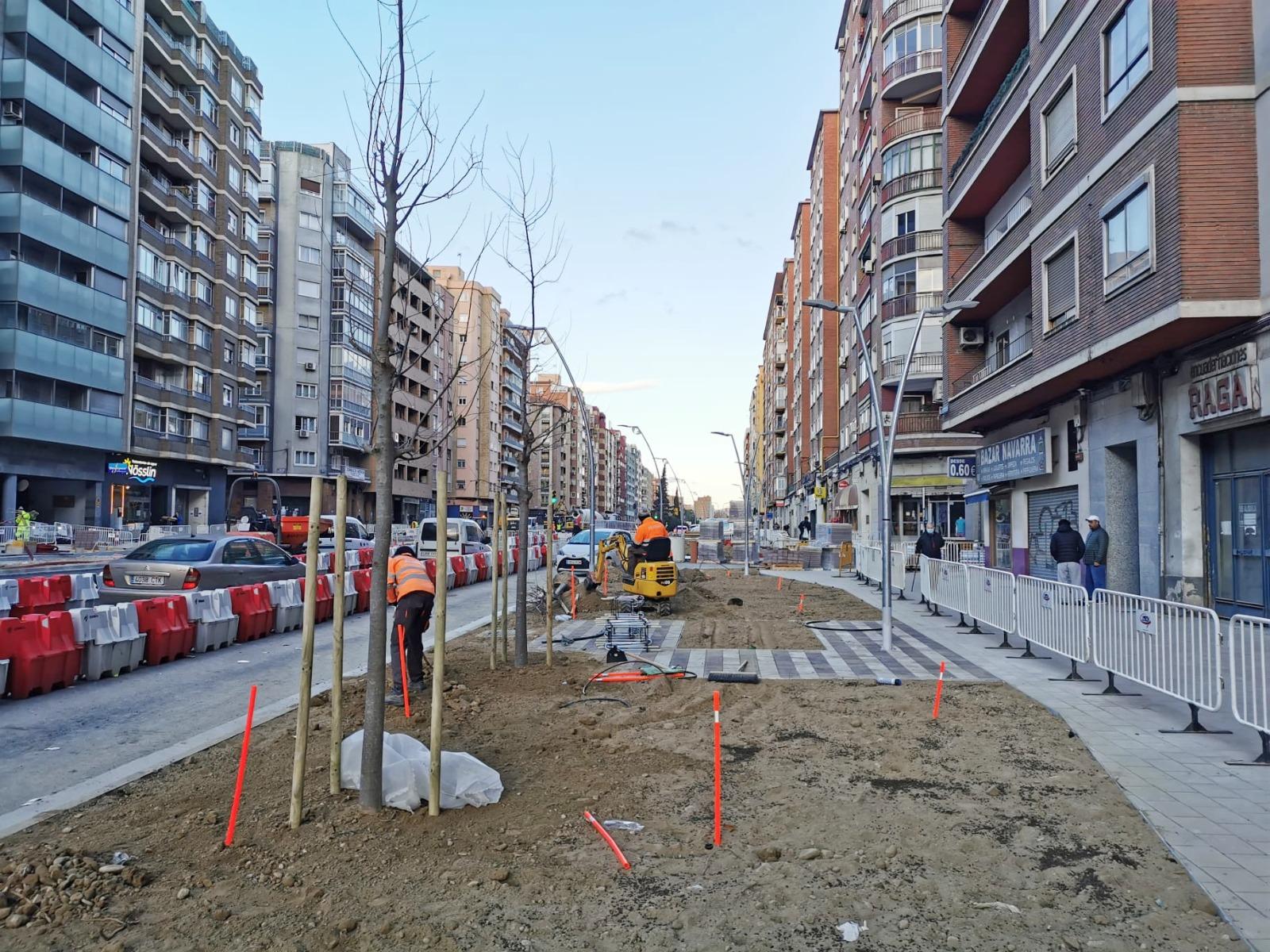 La Avenida Navarra recibe los primeros árboles que formarán el nuevo paseo. Noticia. Ayuntamiento de Zaragoza
