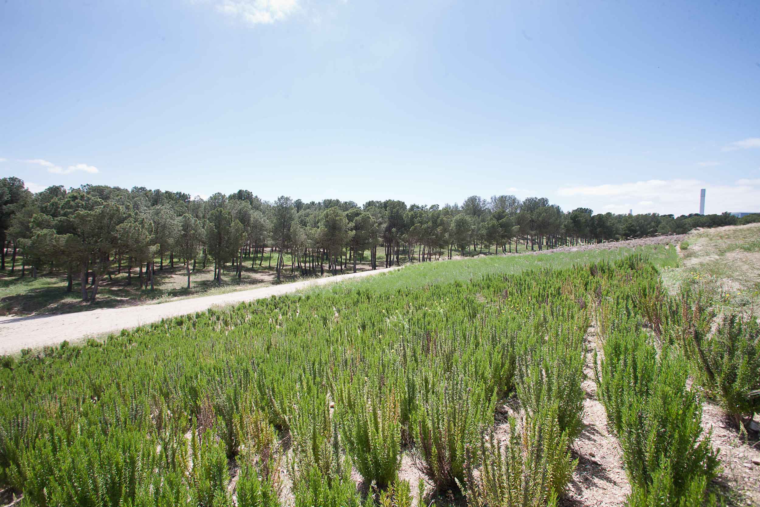 La FEMP otorga a Zaragoza el IV Premio de Buenas Prácticas por la Biodiversidad por su gestión de la Infraestructura Verde. Noticia. Ayuntamiento de Zaragoza