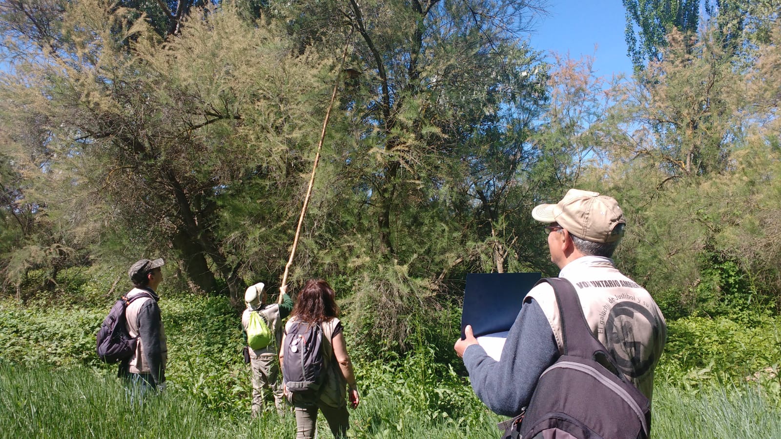 Se abre la inscripción para formar parte del voluntariado ambiental del Galacho de Juslibol. Noticia. Ayuntamiento de Zaragoza