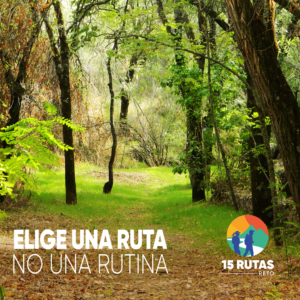Elige una ruta, no una rutina