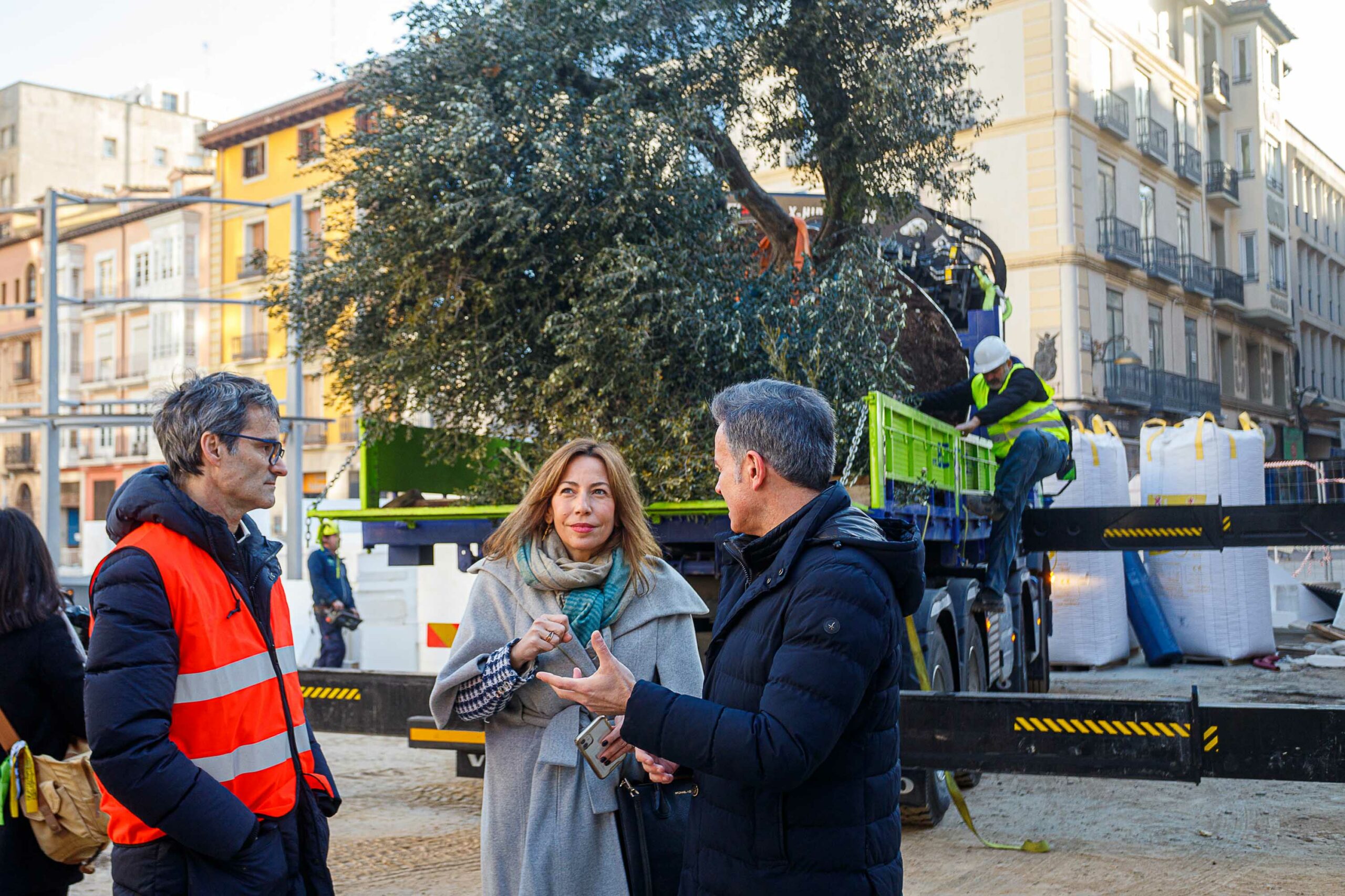La plaza de Salamero entra en la recta final de sus obras con el regreso dos ejemplares de olivo. Noticia. Ayuntamiento de Zaragoza