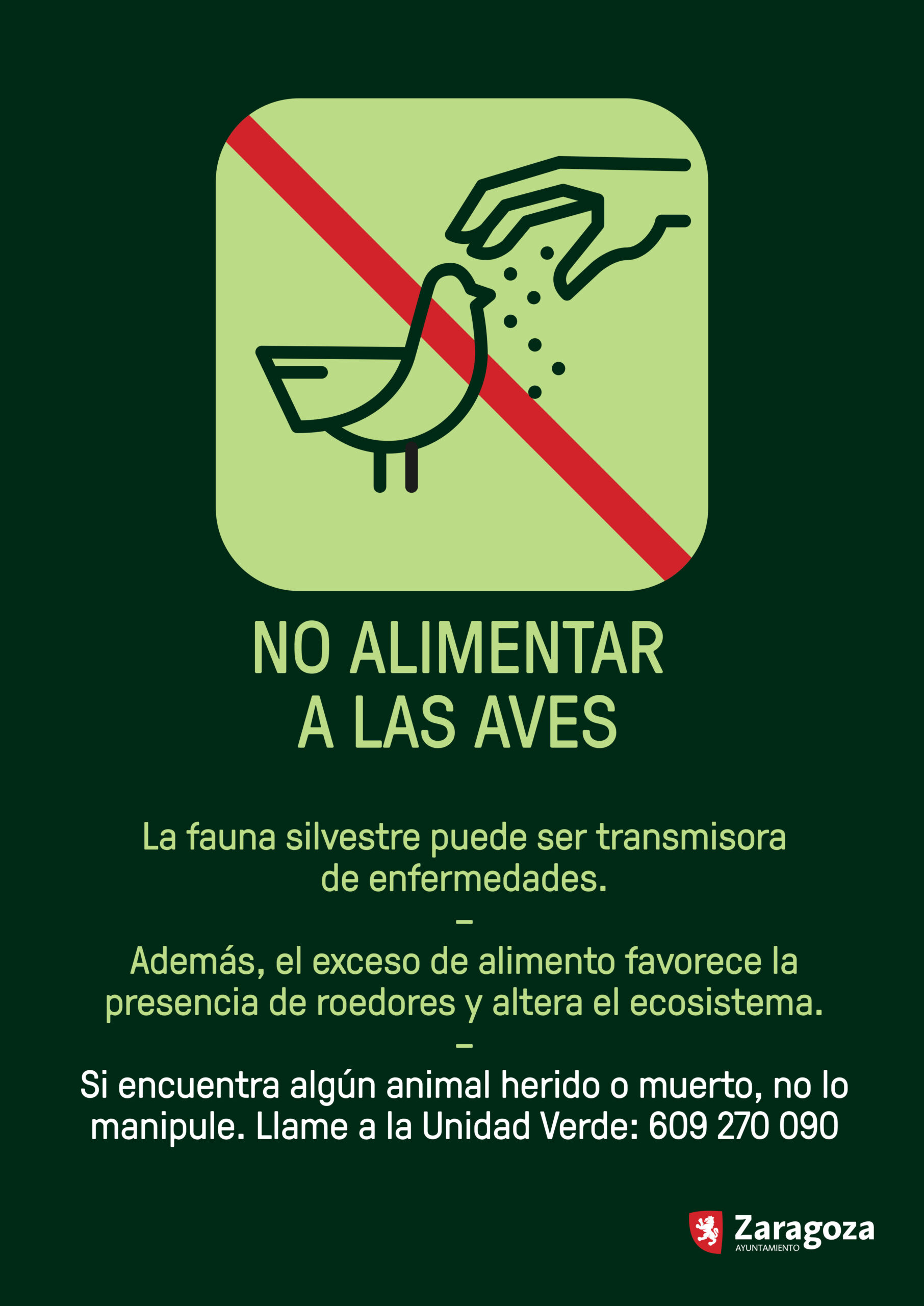 Recomendaciones sanitarias ante la posibilidad de encontrarse con un ave muerta o enferma . Noticia. Ayuntamiento de Zaragoza
