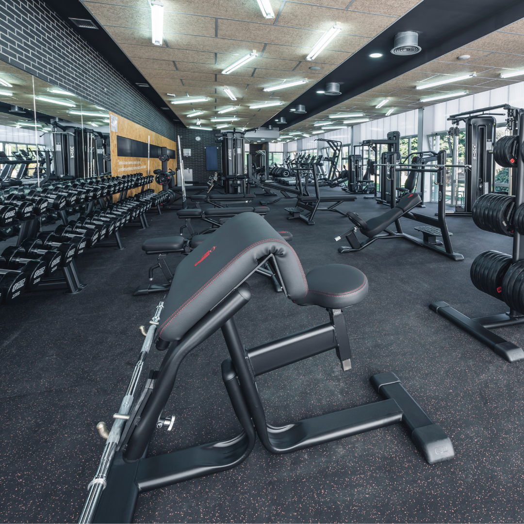 Torrelodones renueva la sala de fitness y musculación del Polideportivo Municipal