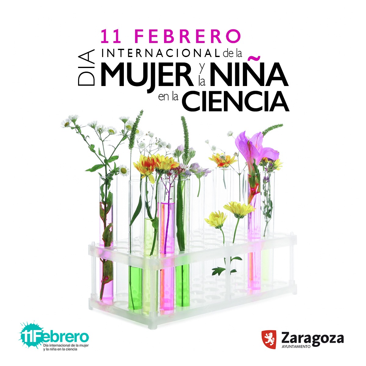 Zaragoza se suma al Día de la Mujer y la Niña en la Ciencia con coloquios, talleres y cuentacuentos. Noticia. Ayuntamiento de Zaragoza