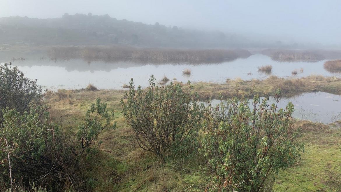 La Comunidad de Madrid inicia el trámite para incluir las lagunas de El Porcal en el Catálogo de Embalses y Zonas Húmedas Protegidas