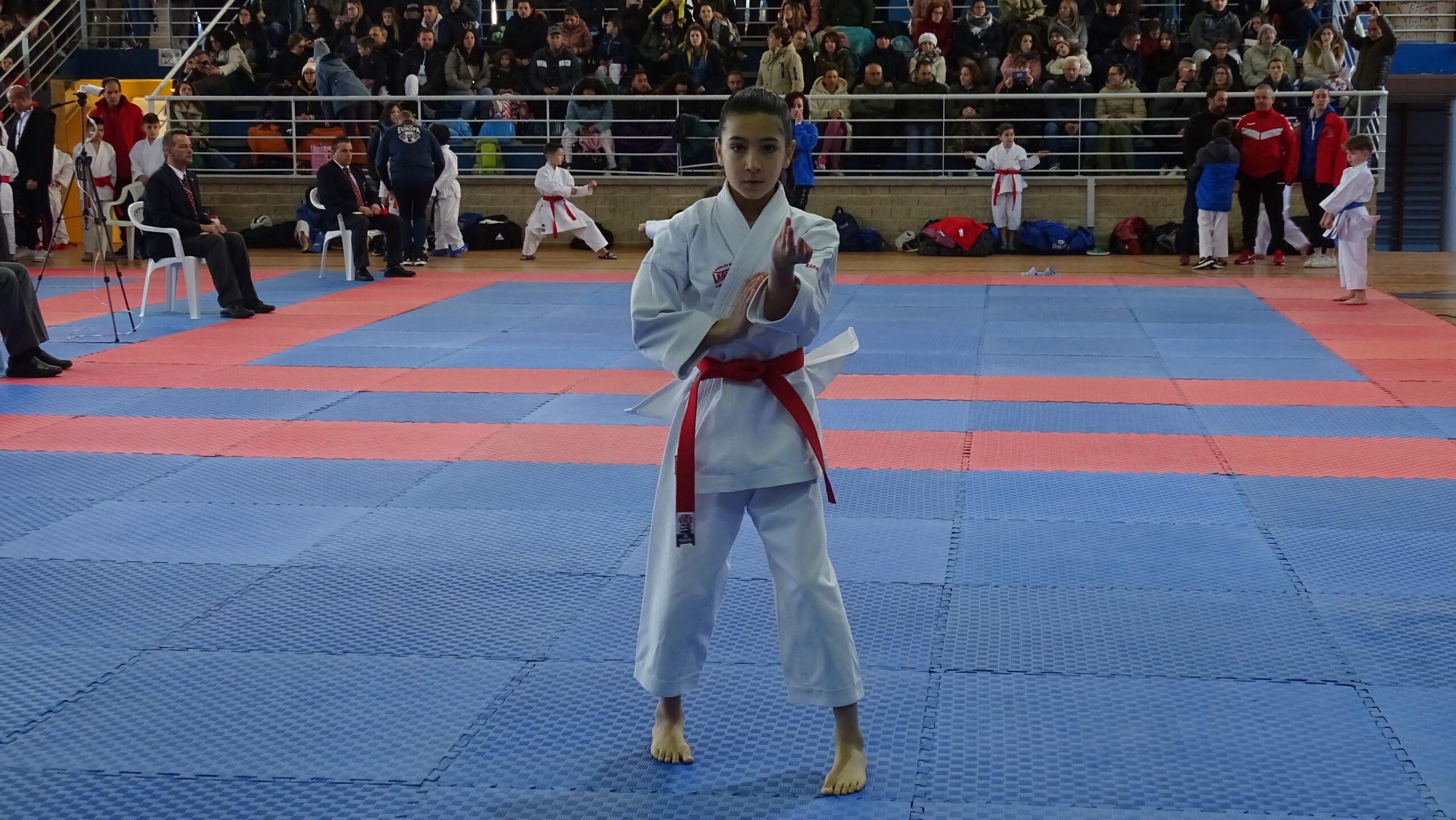 Más de 500 participantes en el Campeonato Regional de Karate escolar