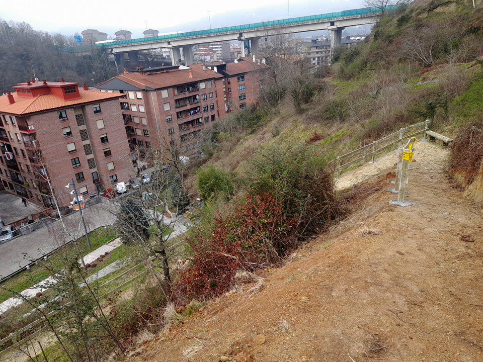 Mejorando la infraestructura verde - Noticias