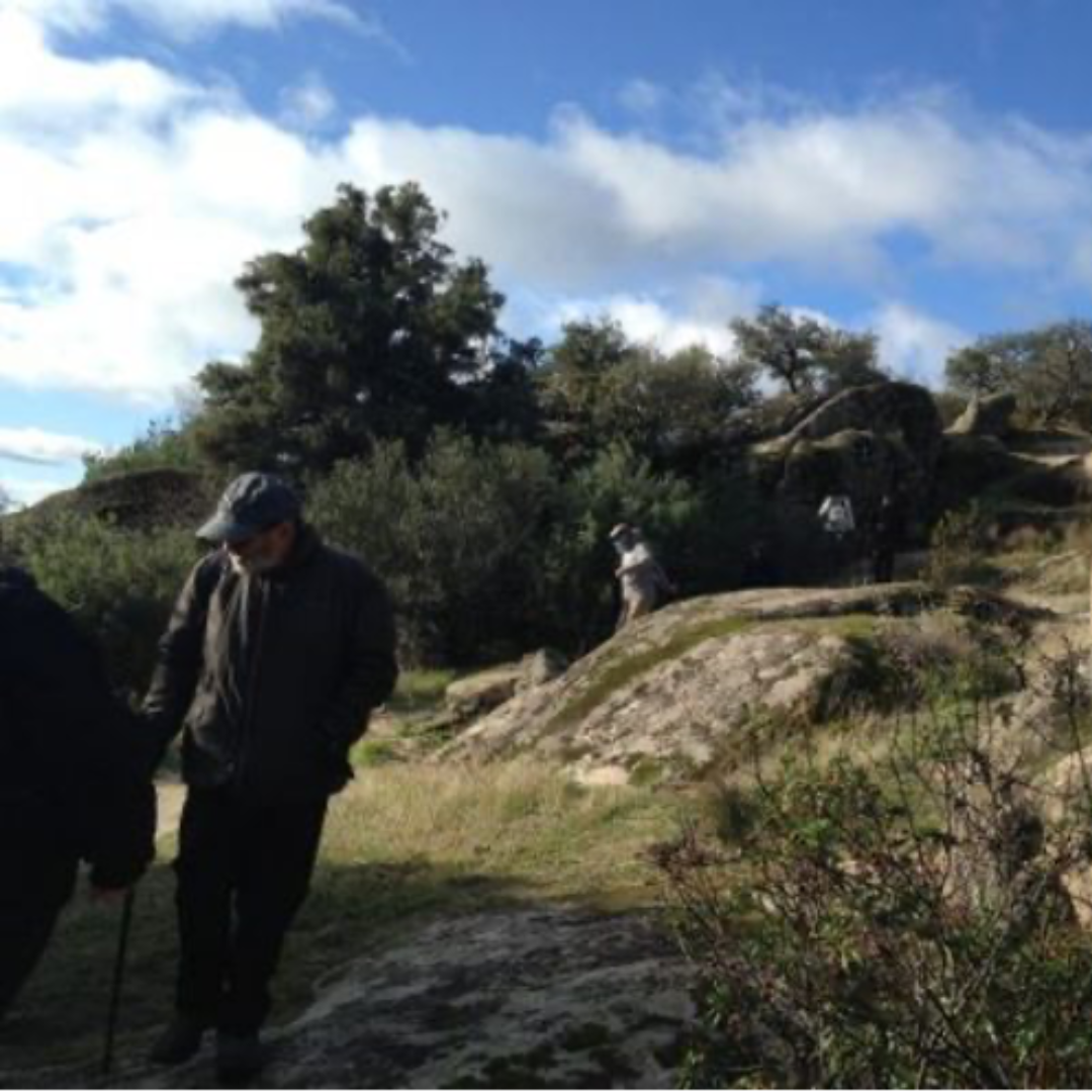 Senda para Mayores Torrelodones: El Pendorelo