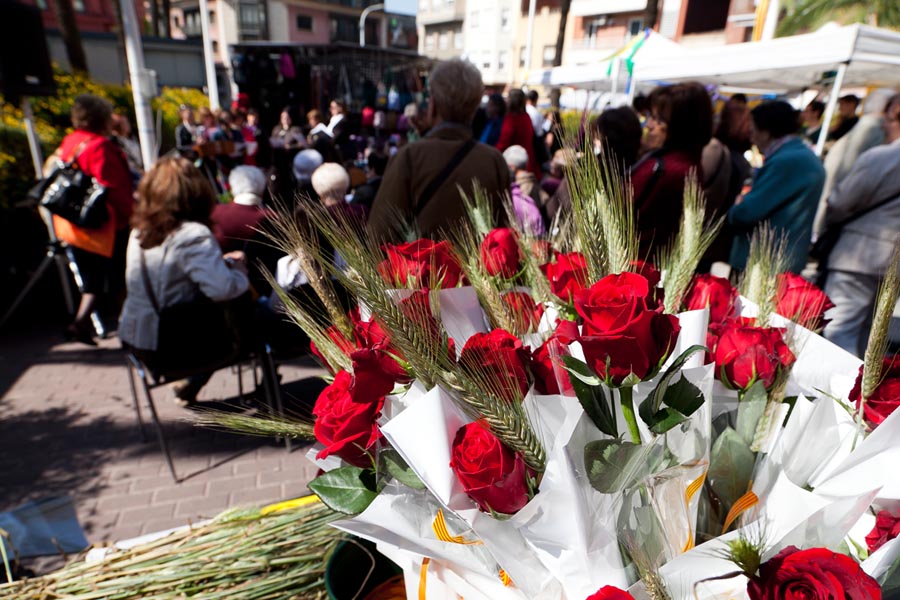 Paradas de libros y rosas llenarán de color la ciudad