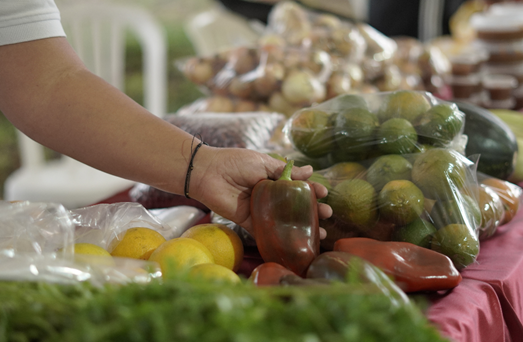 ¡Prepárense! Regresa el Mercado Campesino en el Coliseo de Ferias de Palmira -