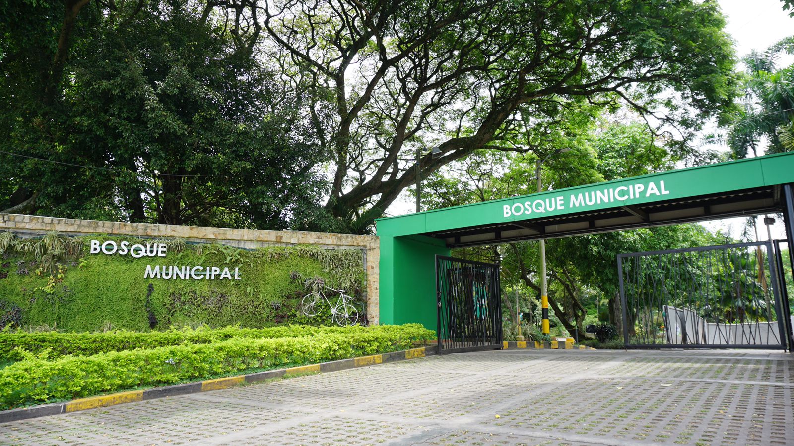 ¡Te contamos todo sobre los estudios y diseños del nuevo proyecto estratégico del Bosque Municipal! -