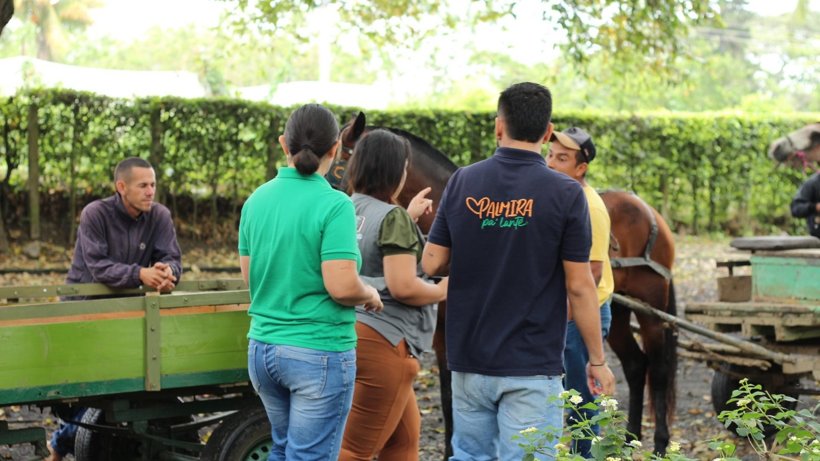 Avanzamos en la sustitución de vehículos de tracción animal en la zona rural del municipio -