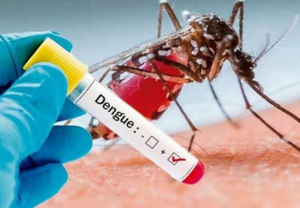 Conoce los síntomas del dengue y qué hacer para prevenir esta enfermedad en nuestros hogares -