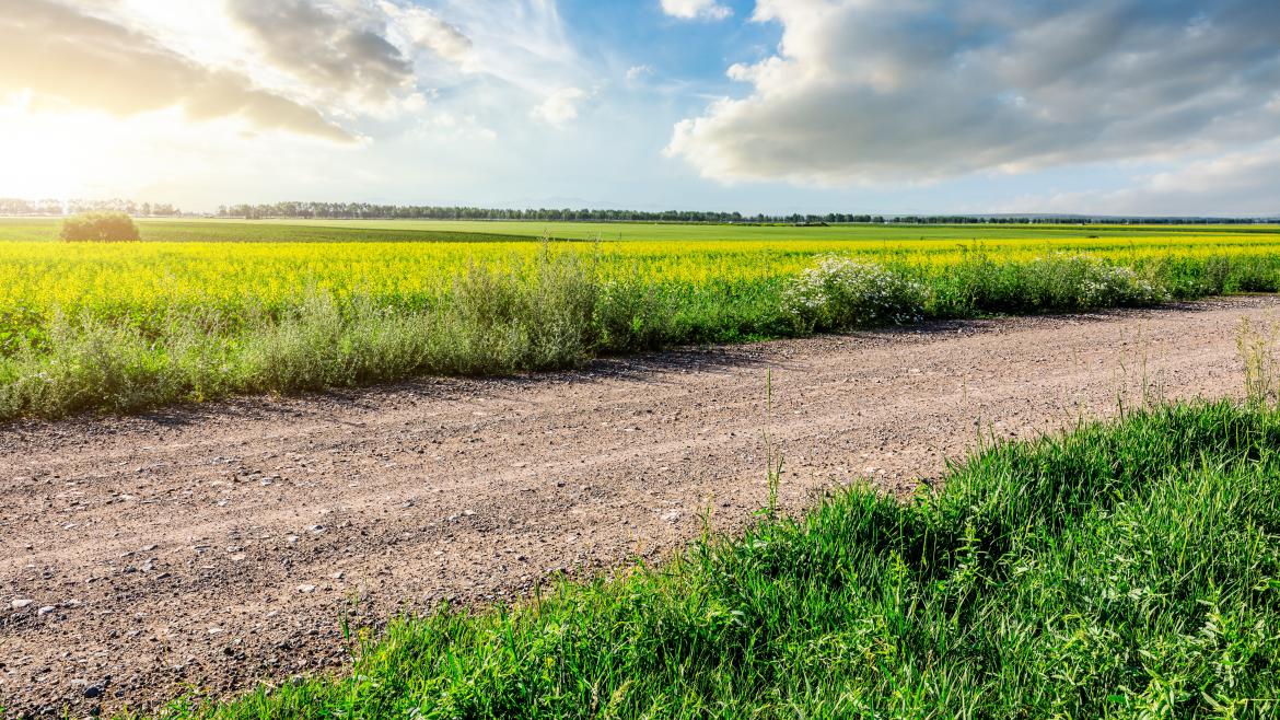 La Comunidad de Madrid da luz verde al mayor plan de conservación de caminos rurales de su historia