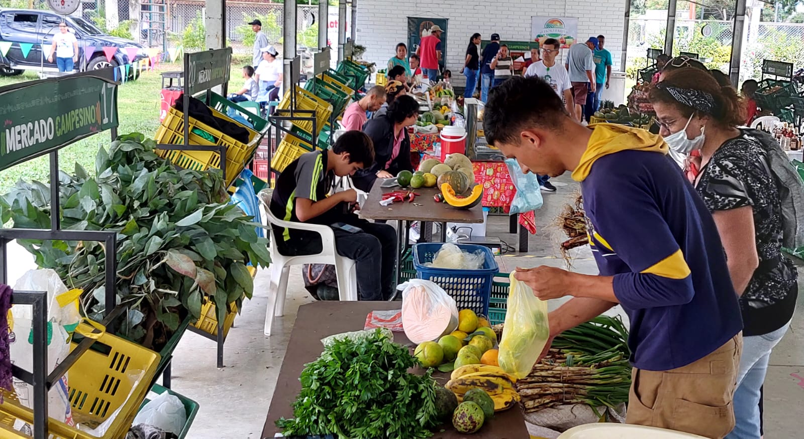Tuvimos excelentes resultados en la reciente jornada de Mercado Campesino ¡conócelos! -