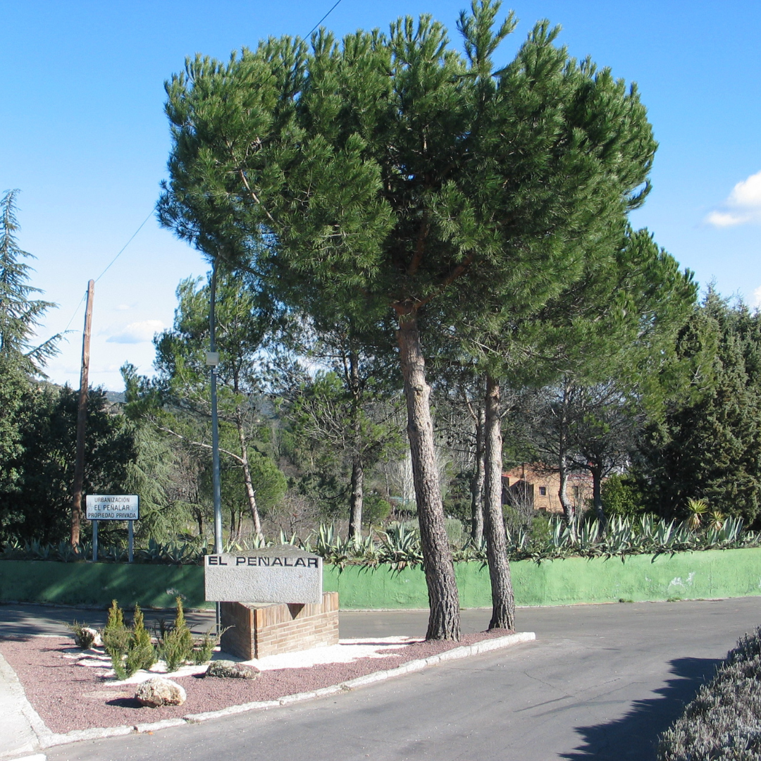 Adjudicada la obra para la iluminación de la Urbanización El Peñalar