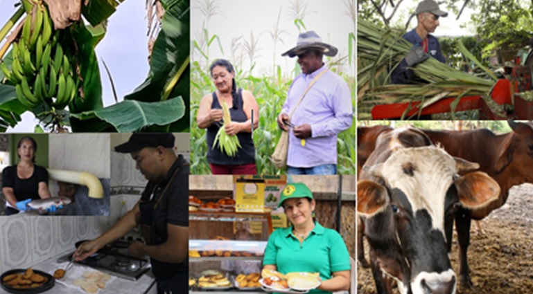 Continuamos fortaleciendo los procesos agroindustriales en la zona rural del municipio ¡conoce cómo! -