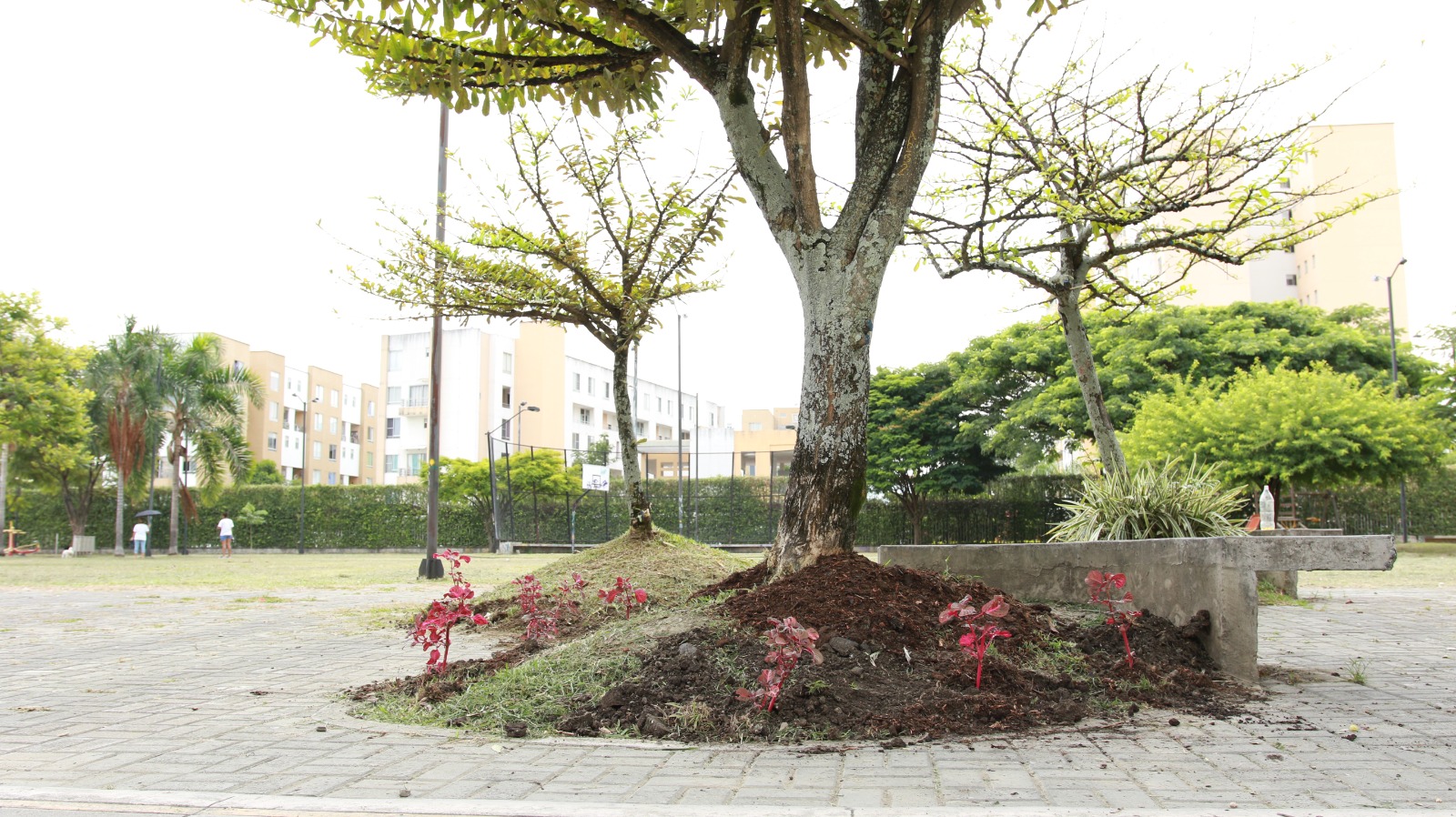 Nueve parques fueron seleccionados en el concurso 'Mi Parque Mi Casa' ¡Conoce cuáles son! -