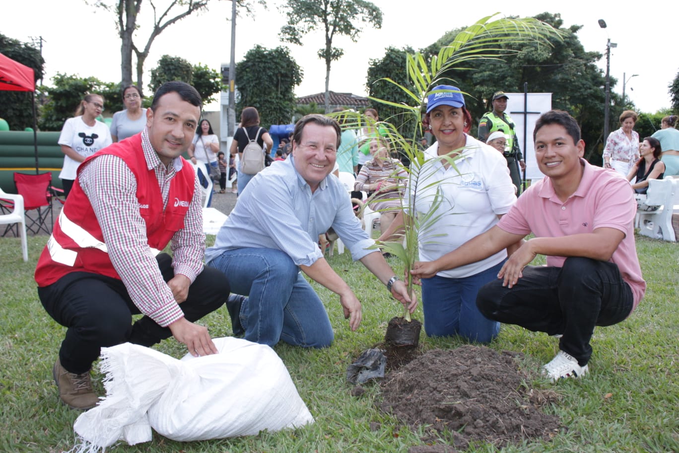 La Alcaldía de Palmira recuperó zonas verdes en la comuna 6 ¡Conoce cuáles fueron! -