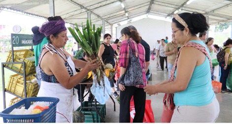 Llega la cuarta jornada del Mercado Campesino al Coliseo de Ferias ¡acompáñanos! -