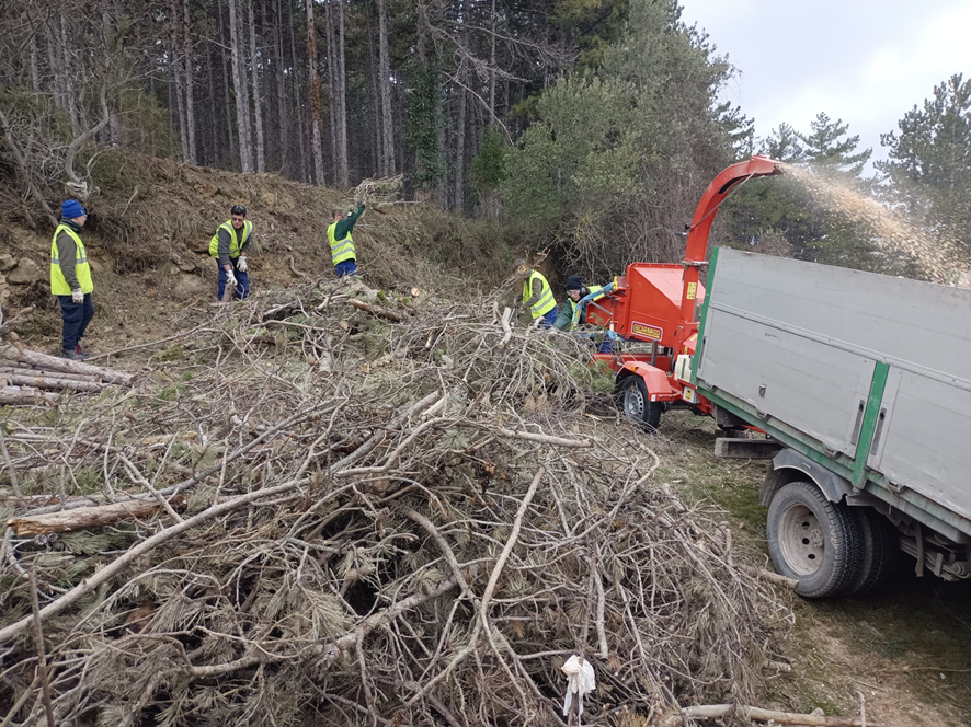 Quince jóvenes concluyen su formación como ayudantes de Jardinería y Forestales en la Escuela Taller – Ayuntamiento Estella-Lizarra Udala