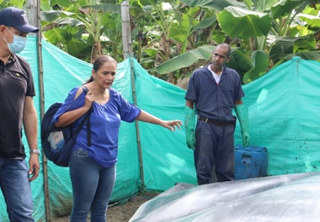 Ocho biodigestores instalados en zona rural, están mejorando la calidad de vida de productores palmiranos -