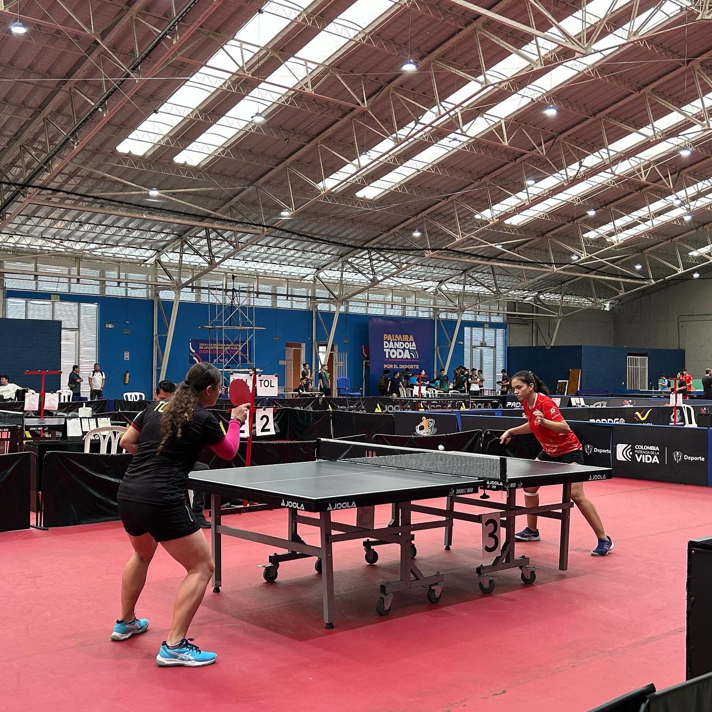 Por primera vez en Palmira hay Campeonato Nacional de Mayores en Tenis de Mesa -