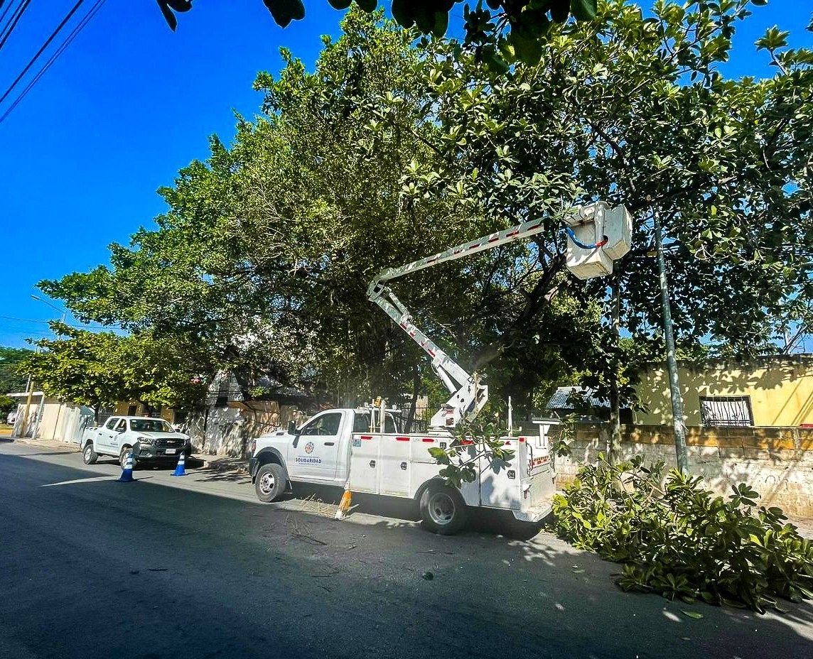 Realizan poda de árboles por temporada de lluvias – H. Ayuntamiento de Solidaridad
