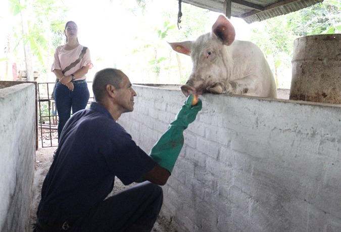 A través de distintas capacitaciones continuamos fortaleciendo a los productores porcícolas de Palmira -