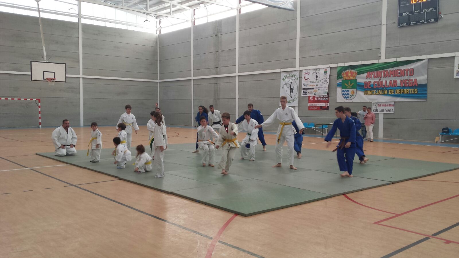 Cúllar Vega oferta para este curso más de 25 deportes distintos en sus Escuelas Municipales