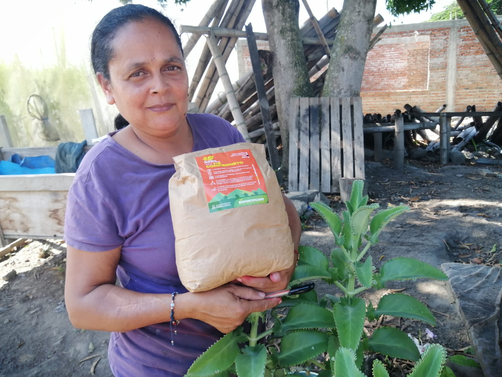 Entregamos 99 kilos de semilla de maíz fortificado del programa Harvest Plus de la Alianza Bioversity