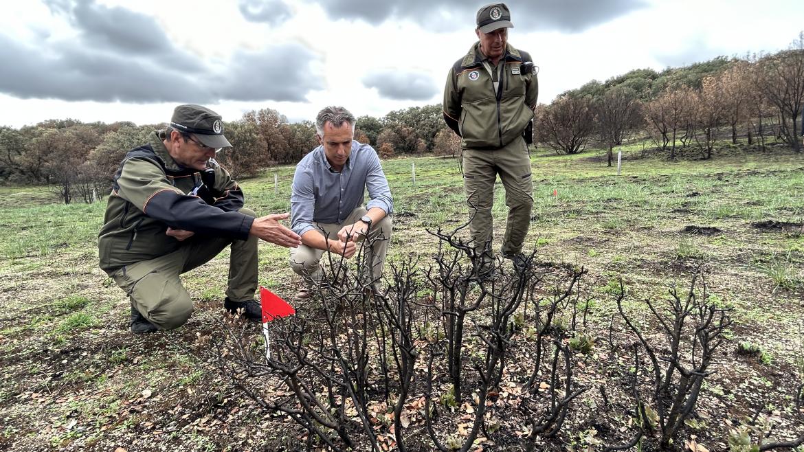 La Comunidad de Madrid esclareció la causa del 88% de los incendios forestales registrados en la región en 2022