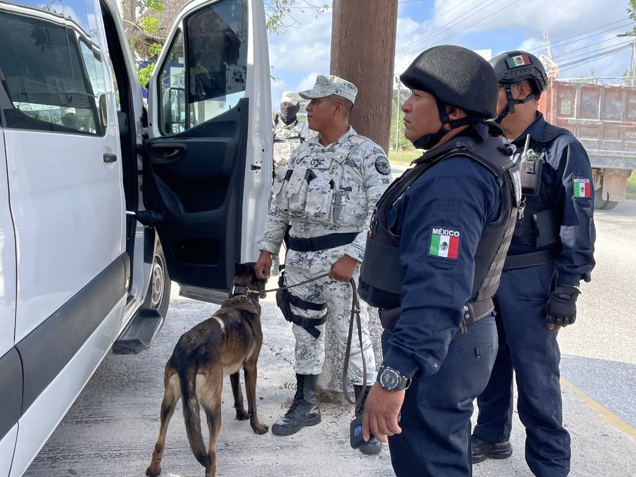 Más acciones de seguridad y protección para los solidarenses – H. Ayuntamiento de Solidaridad