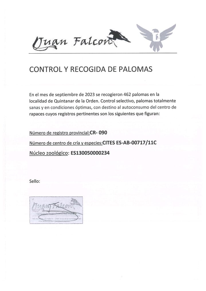 Continúa el control y recogida de palomas en Quintanar de la Orden