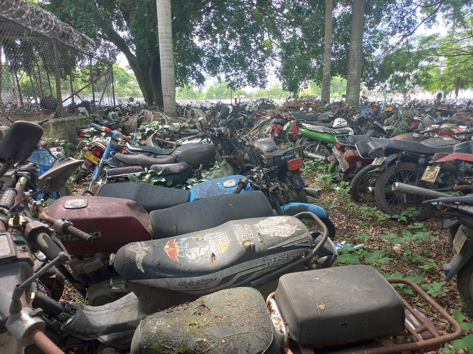 ¡Atención! El 25 de octubre vence el plazo para tramitar el retiro de las motos inmovilizadas en los patios del Tránsito de Palmira -