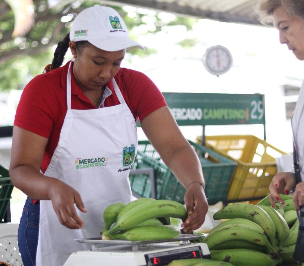 ¡La Alcaldía de Palmira continúa fortaleciendo la zona rural! El Mercado Campesino dejó ventas superiores a los $5 millones de pesos, representados en 3.8 toneladas de alimentos