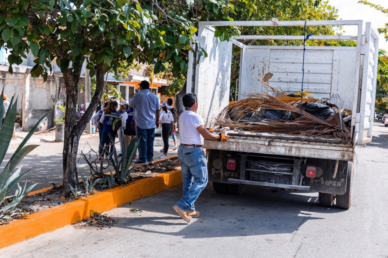 Atención integral para colonias de Solidaridad – H. Ayuntamiento de Solidaridad