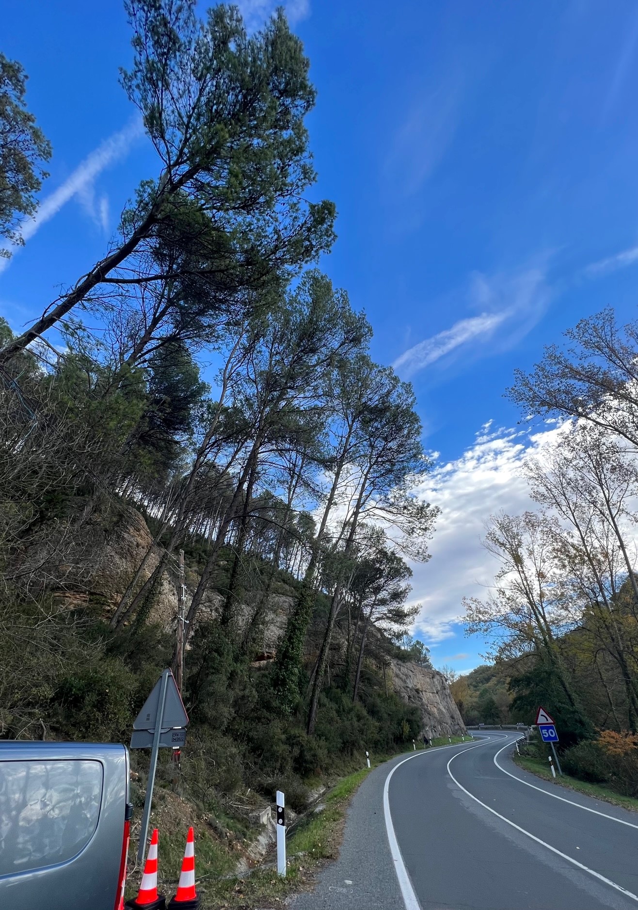 Cortes de tráfico en la carretera entre Estella-Lizarra y Zubielqui martes, miércoles y jueves por una tala de pinos – Ayuntamiento Estella-Lizarra Udala