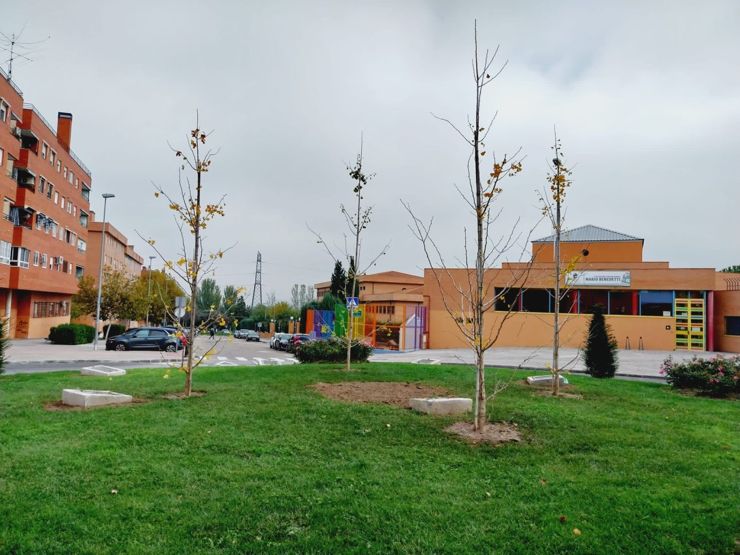 El V Plan de Arbolado dotará a la ciudad de alrededor de 500 nuevos árboles y unos 4.000 ejemplares de arbustiva