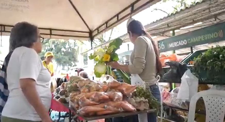 Este viernes 3 noviembre, 160 productores de Palmira y municipios aledaños ofertarán sus productos en el Mercado Campesino del parque Bolívar de la Villa de las Palmas