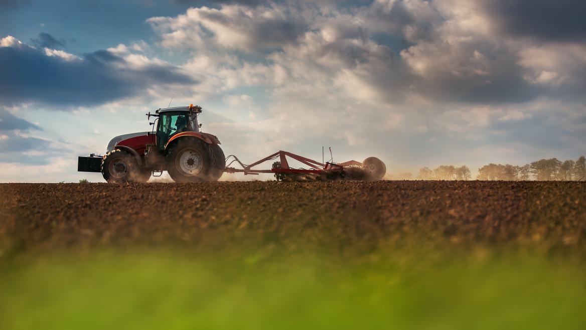 La Comunidad de Madrid aprueba 7,5 millones en nuevas ayudas a agricultores y ganaderos para compensar los efectos de la sequía