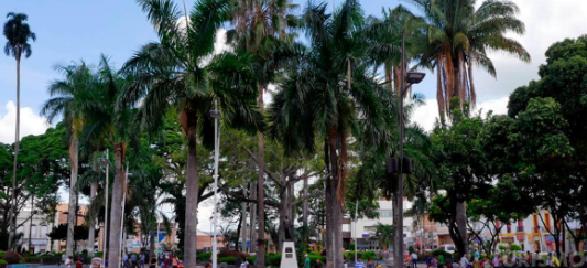 Luz Estella Ocampo Durango falleció, y el Instituto Nacional de Medicina Legal y Ciencias Forenses busca a sus familiares -