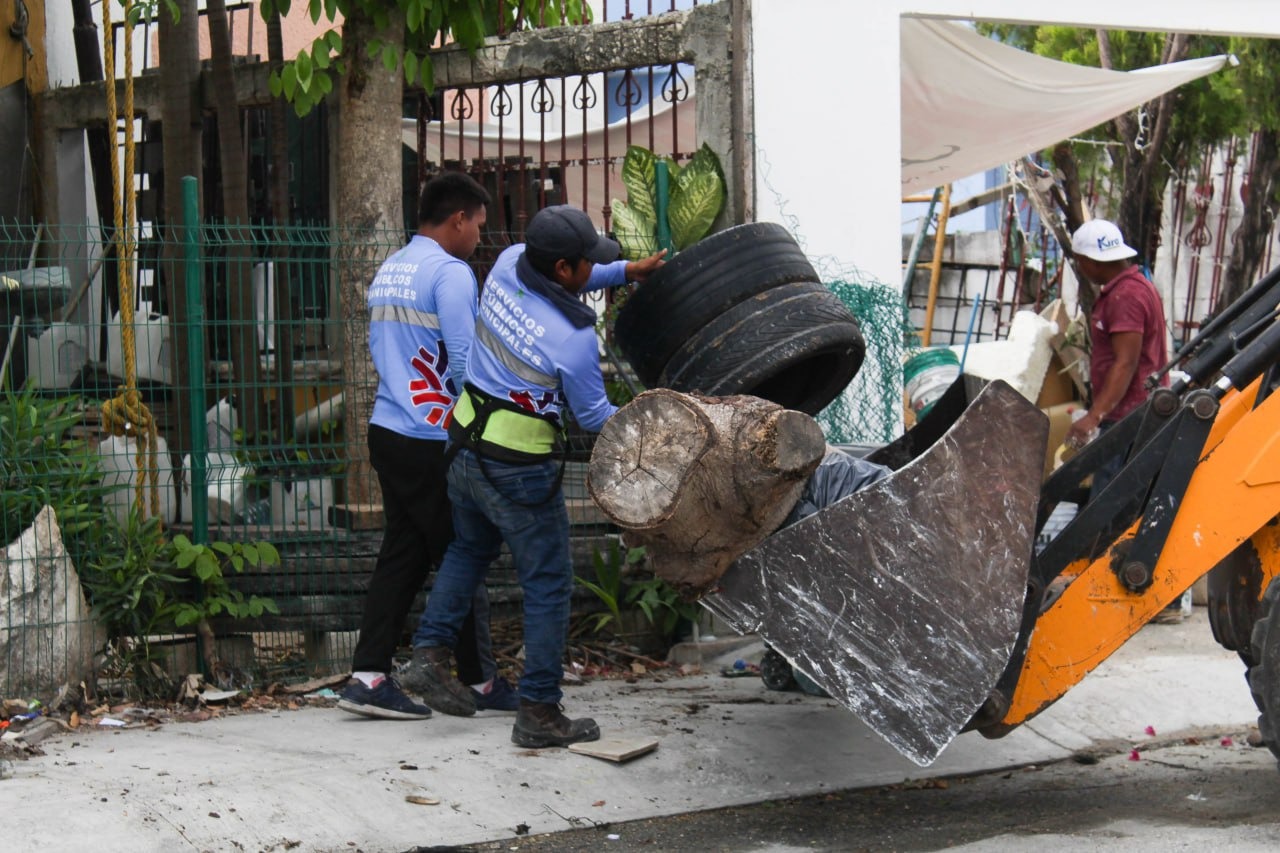 Solidaridad en descenso por casos de dengue – H. Ayuntamiento de Solidaridad