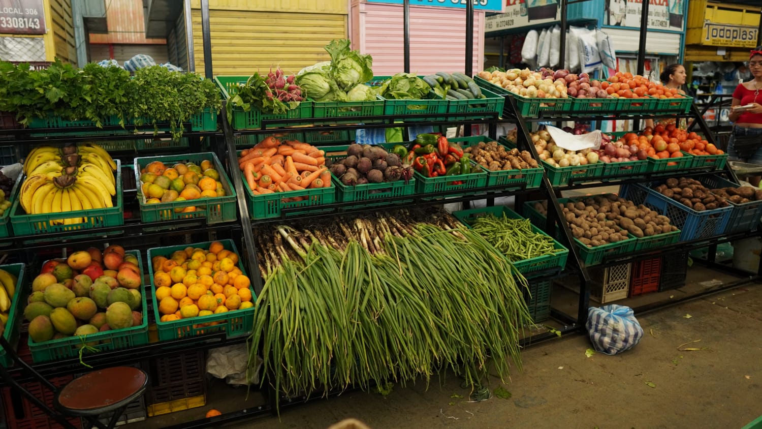 ¡Esto dicen los comerciantes y ciudadanos que frecuentan la Galería Central sobre los nuevos módulos de frutas y verduras! -