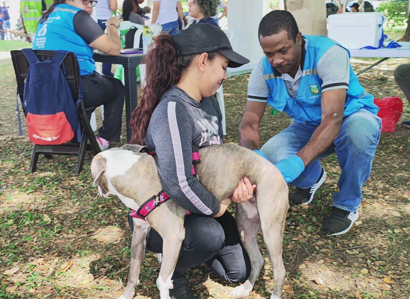 ¡Vivamos una mañana llena de amor de pelos! Perros y gatos de Palmira recibirán atención médica gratuita -